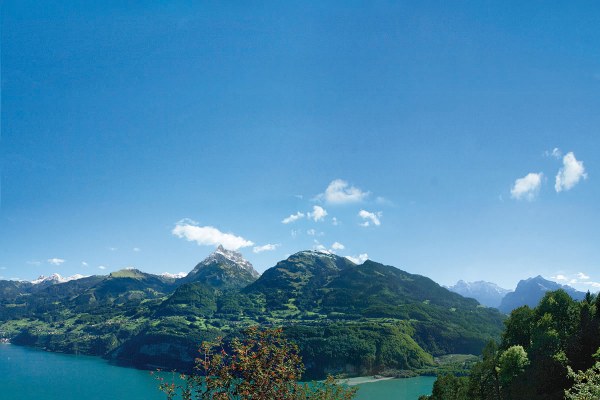 Amden Landschaft Walensee Sommer Kerenzerberg Mürtschenstock